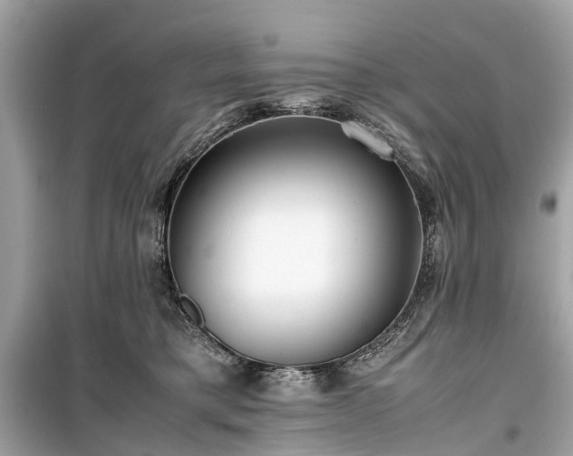 X0000099430421200805161115