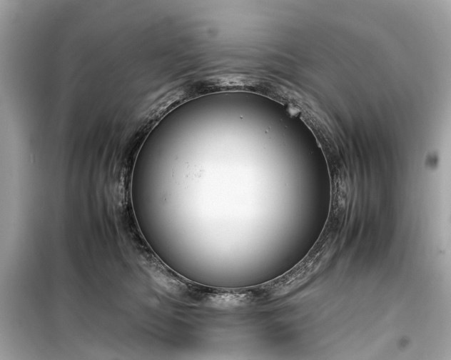 X0000099430422200805161115