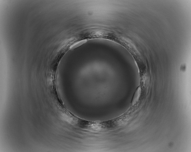 X0000099430423200805161115