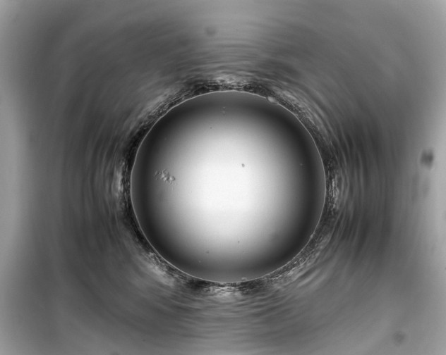 X0000099430424200805161115