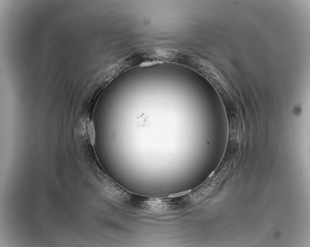 X0000099430425200805161115