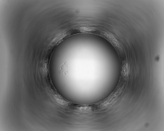 X0000099430426200805161115