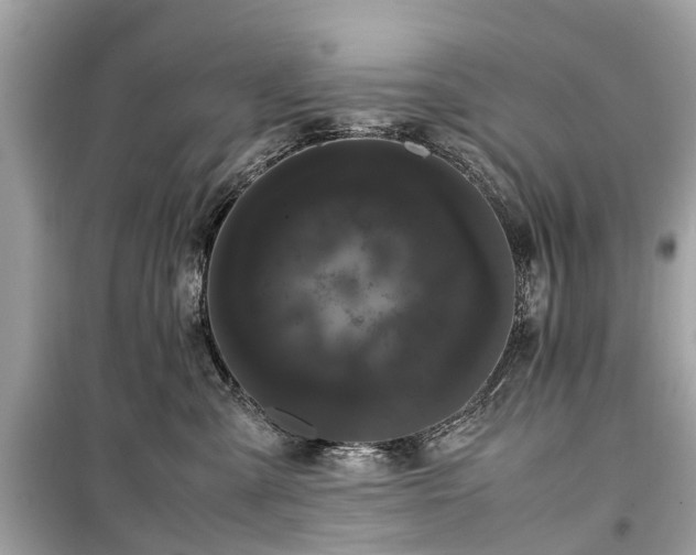 X0000099430427200805161115