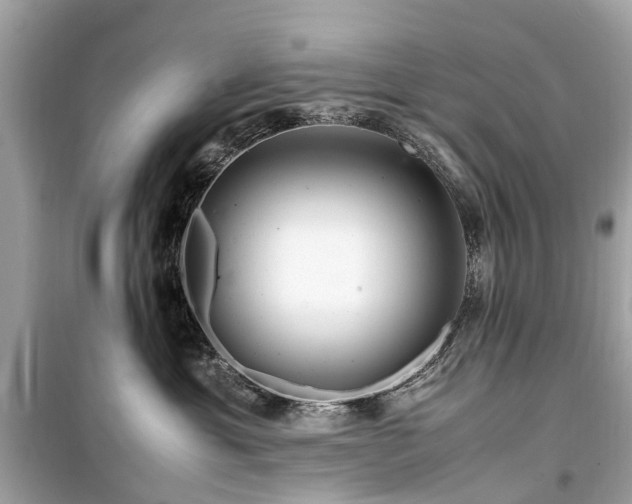 X0000099430429200805161115