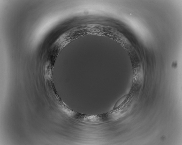 X0000099430431200805161115