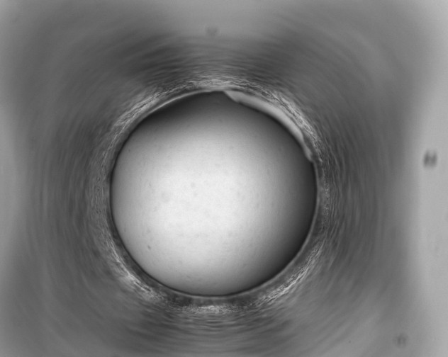 X0000099430433200805161114