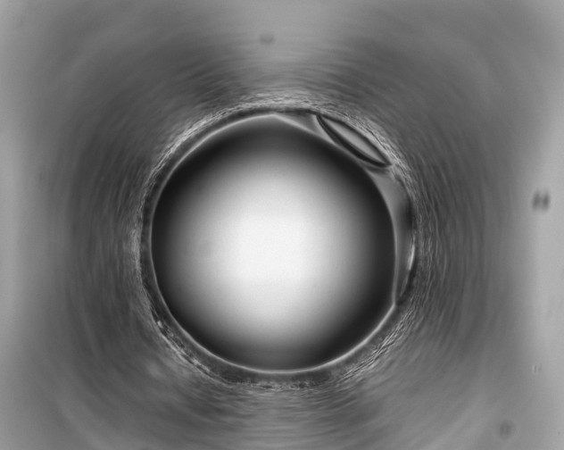 X0000099430434200805161114