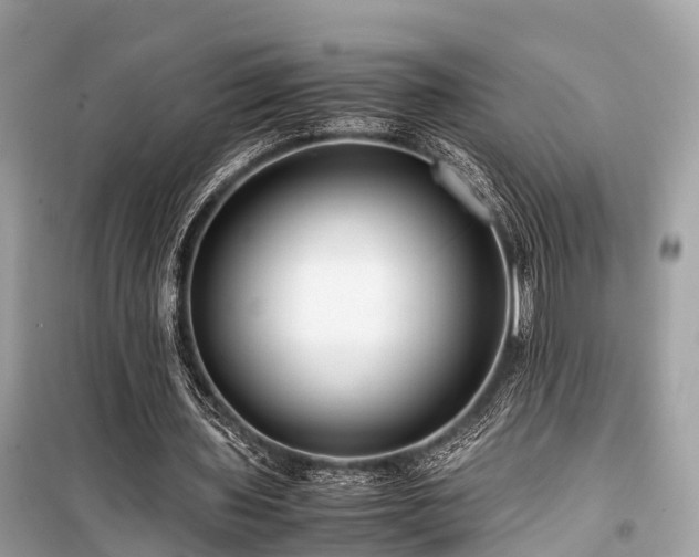 X0000099430435200805161114