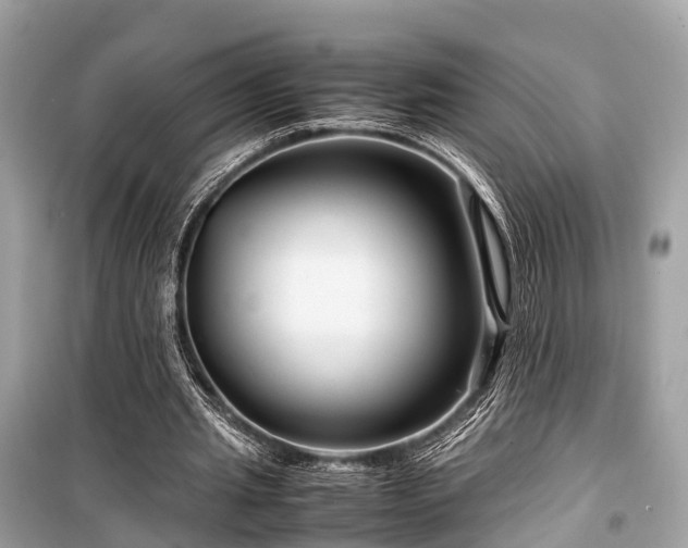 X0000099430437200805161114