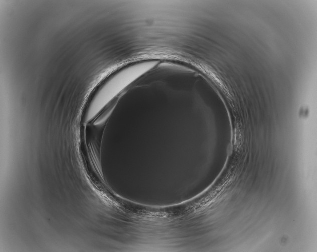 X0000099430438200805161114