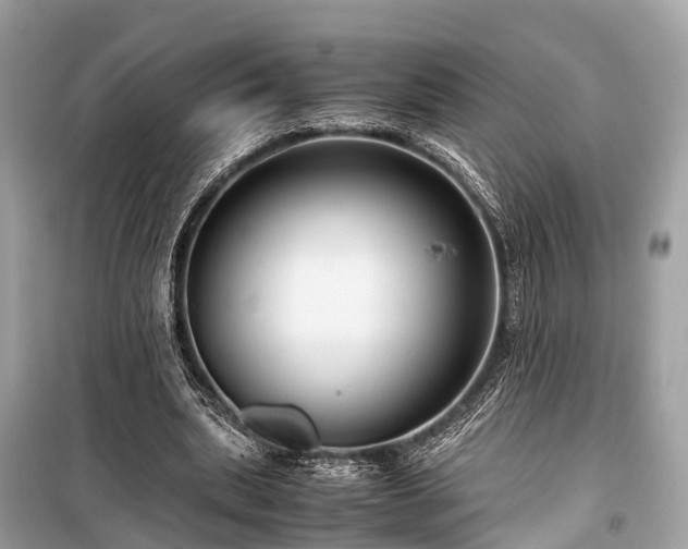 X0000099430439200805161114