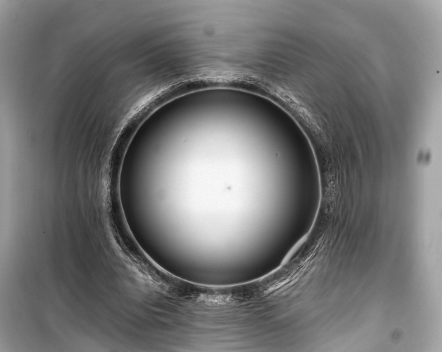 X0000099430440200805161114