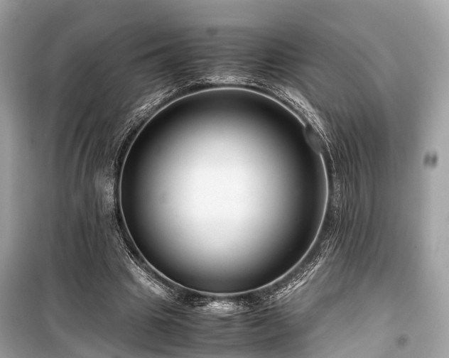 X0000099430441200805161114