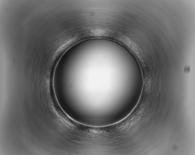 X0000099430442200805161114