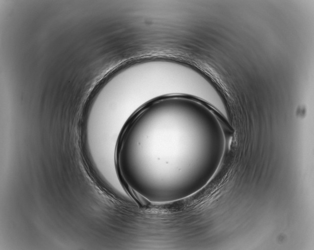 X0000099430444200805161114