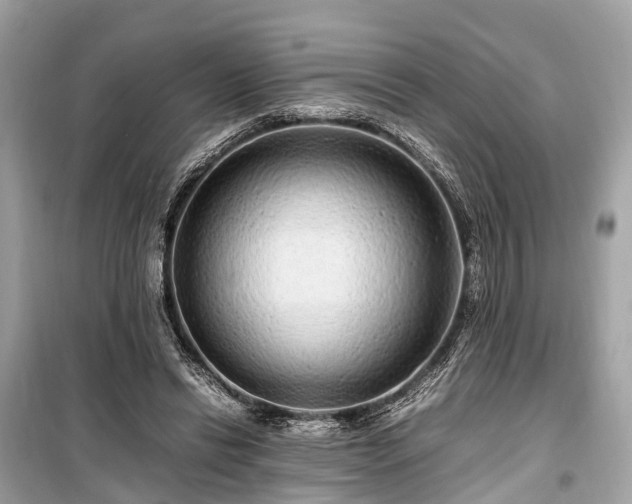 X0000099430446200805161114