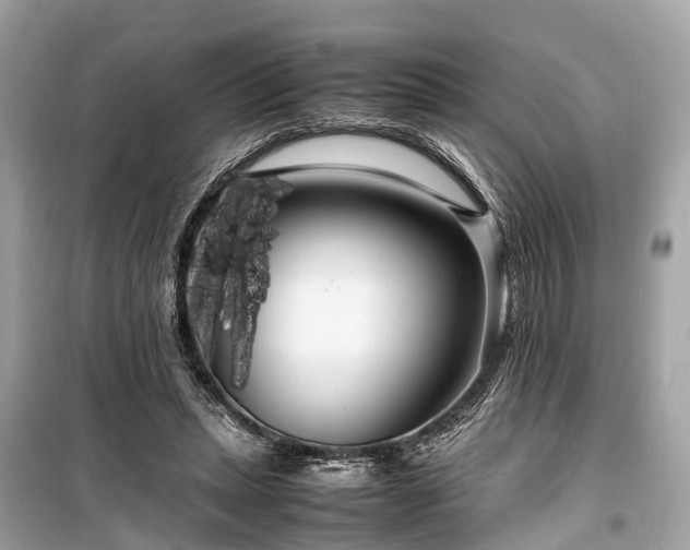 X0000099430447200805161114