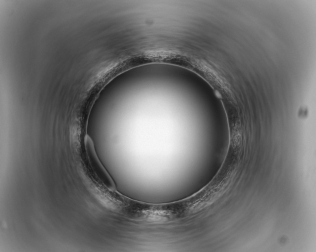 X0000099430448200805161114