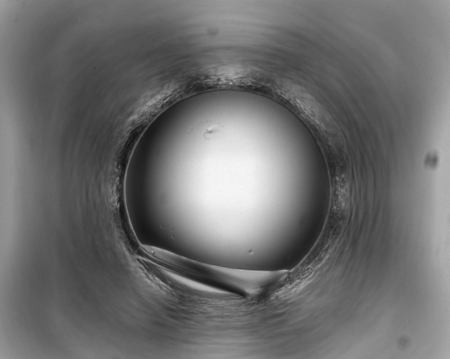 X0000099430450200805161114