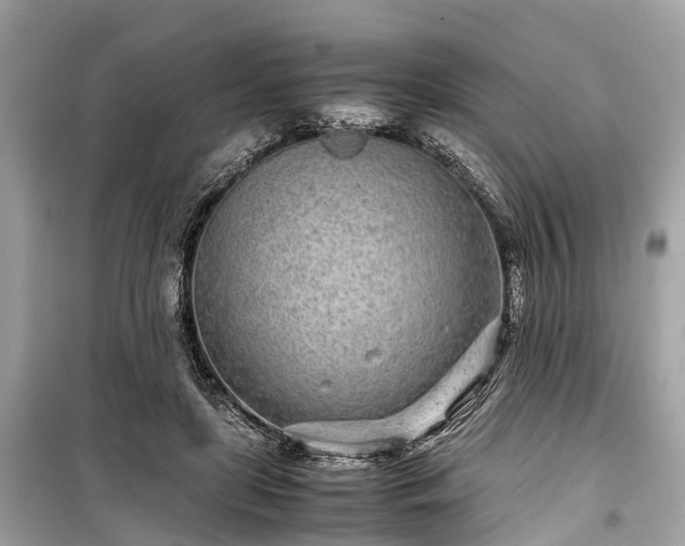 X0000099430451200805161114
