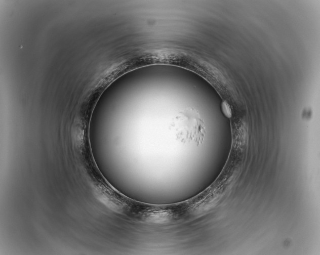 X0000099430456200805161114