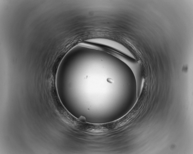 X0000099430459200805161114