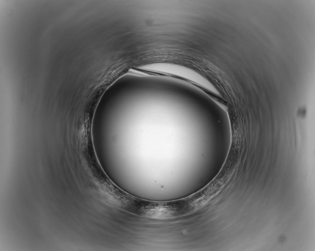 X0000099430460200805161114