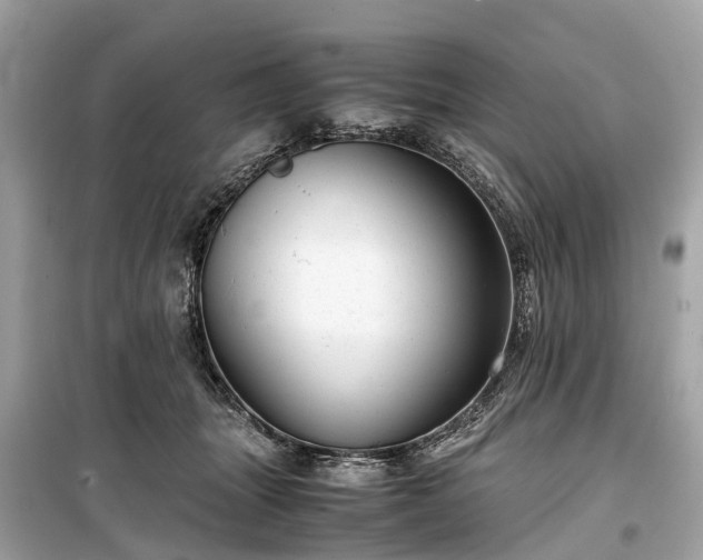 X0000099430463200805161114