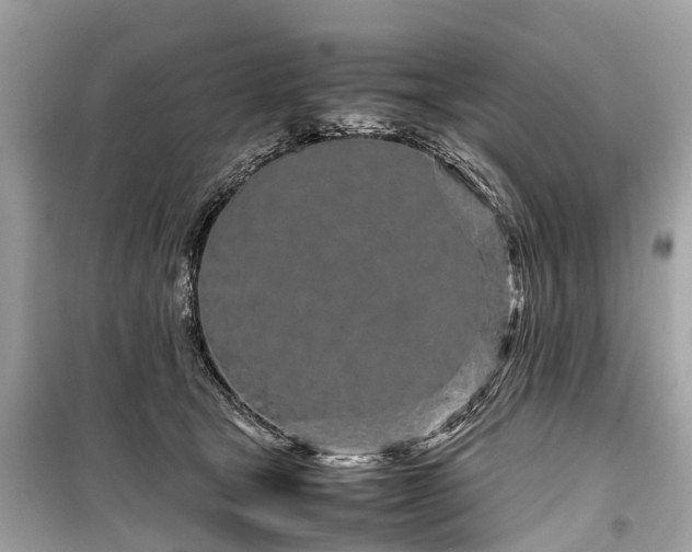 X0000099430465200805161114