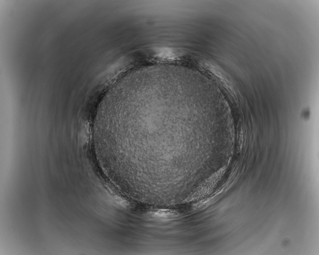 X0000099430467200805161114