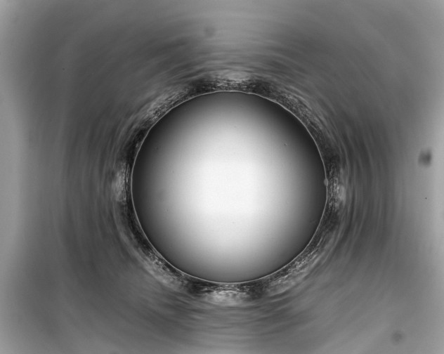 X0000099430468200805161114