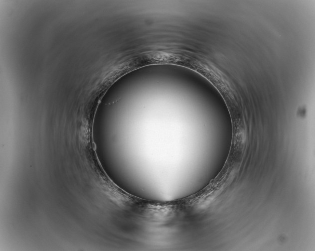 X0000099430469200805161114