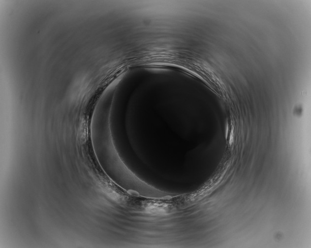 X0000099430471200805161114