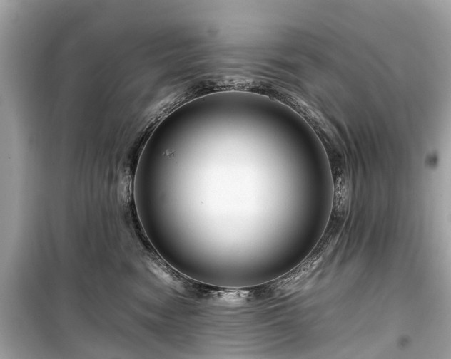 X0000099430474200805161114
