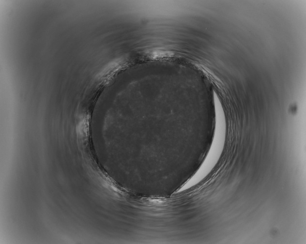 X0000099430475200805161114
