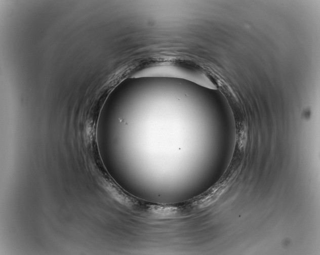 X0000099430476200805161114