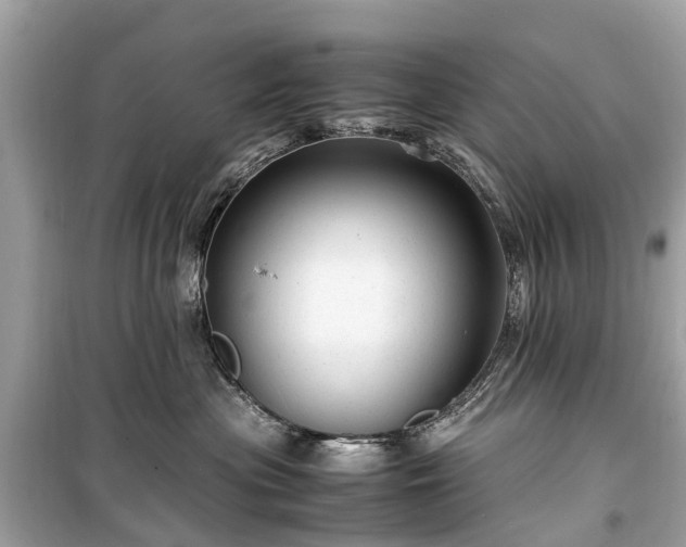 X0000099430477200805161114