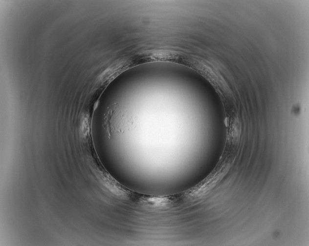 X0000099430478200805161115