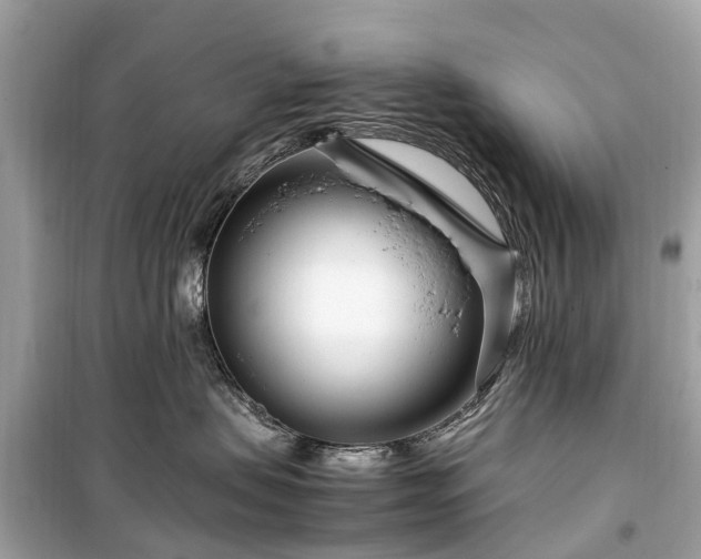 X0000099430479200805161115
