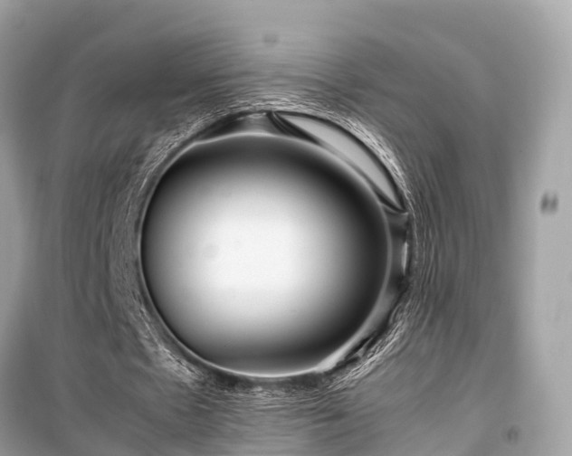 X0000099430481200805161114