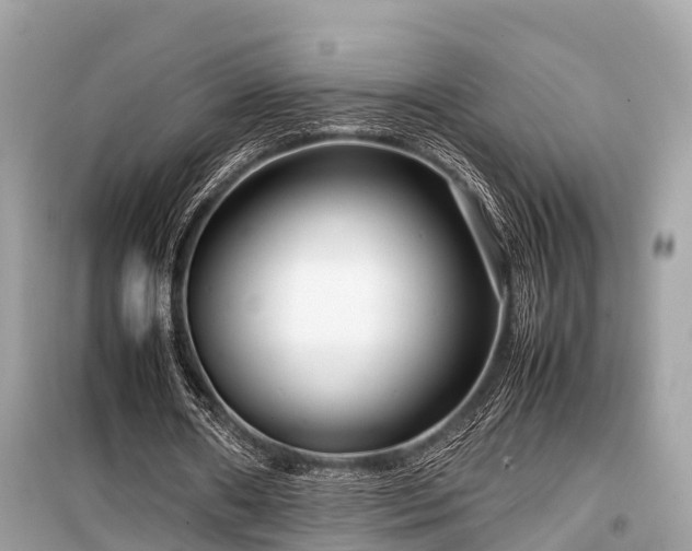 X0000099430482200805161114