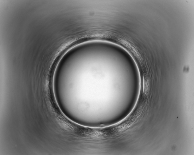 X0000099430483200805161114
