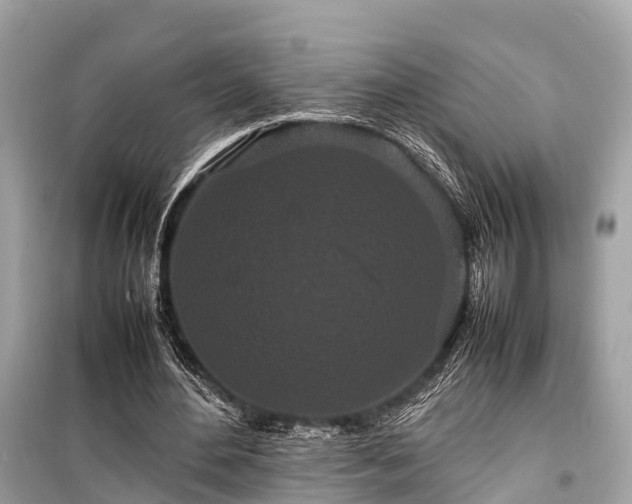 X0000099430484200805161114