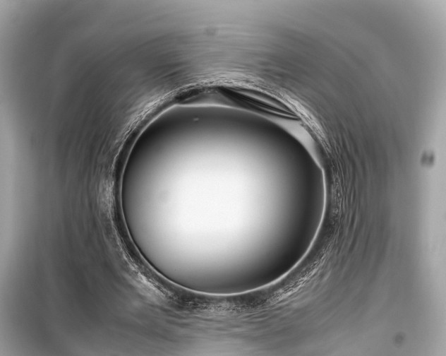 X0000099430485200805161114