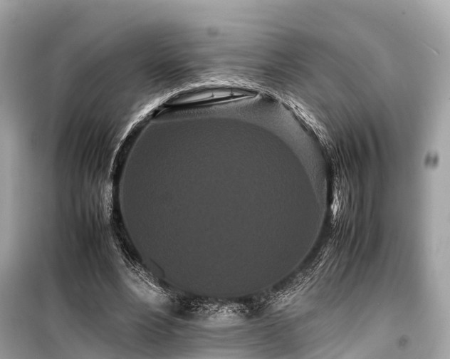 X0000099430488200805161114