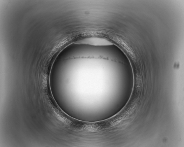 X0000099430489200805161114