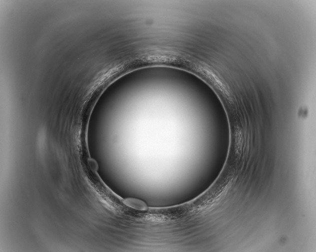 X0000099430490200805161114
