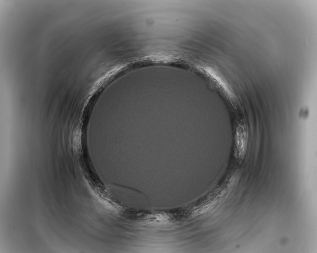 X0000099430492200805161114