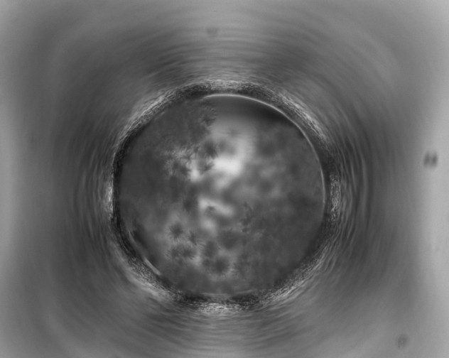 X0000099430494200805161114