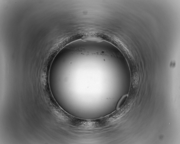 X0000099430497200805161114